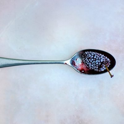 A blackberry on a silver spoon